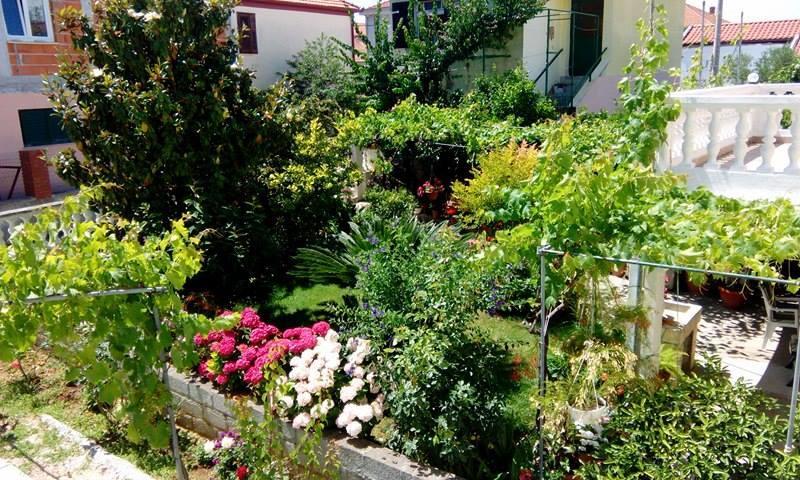 Apartment Matovina Zadar Bagian luar foto
